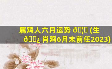 属鸡人六月运势 🦁 (生 🌿 肖鸡6月末前任2023)
